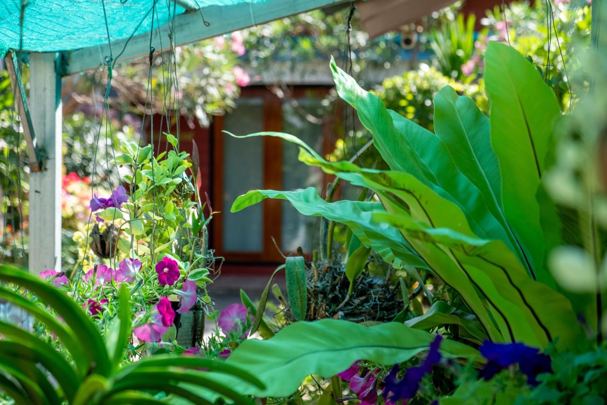 Thai Smile Bungalows Ко-Ланта Экстерьер фото